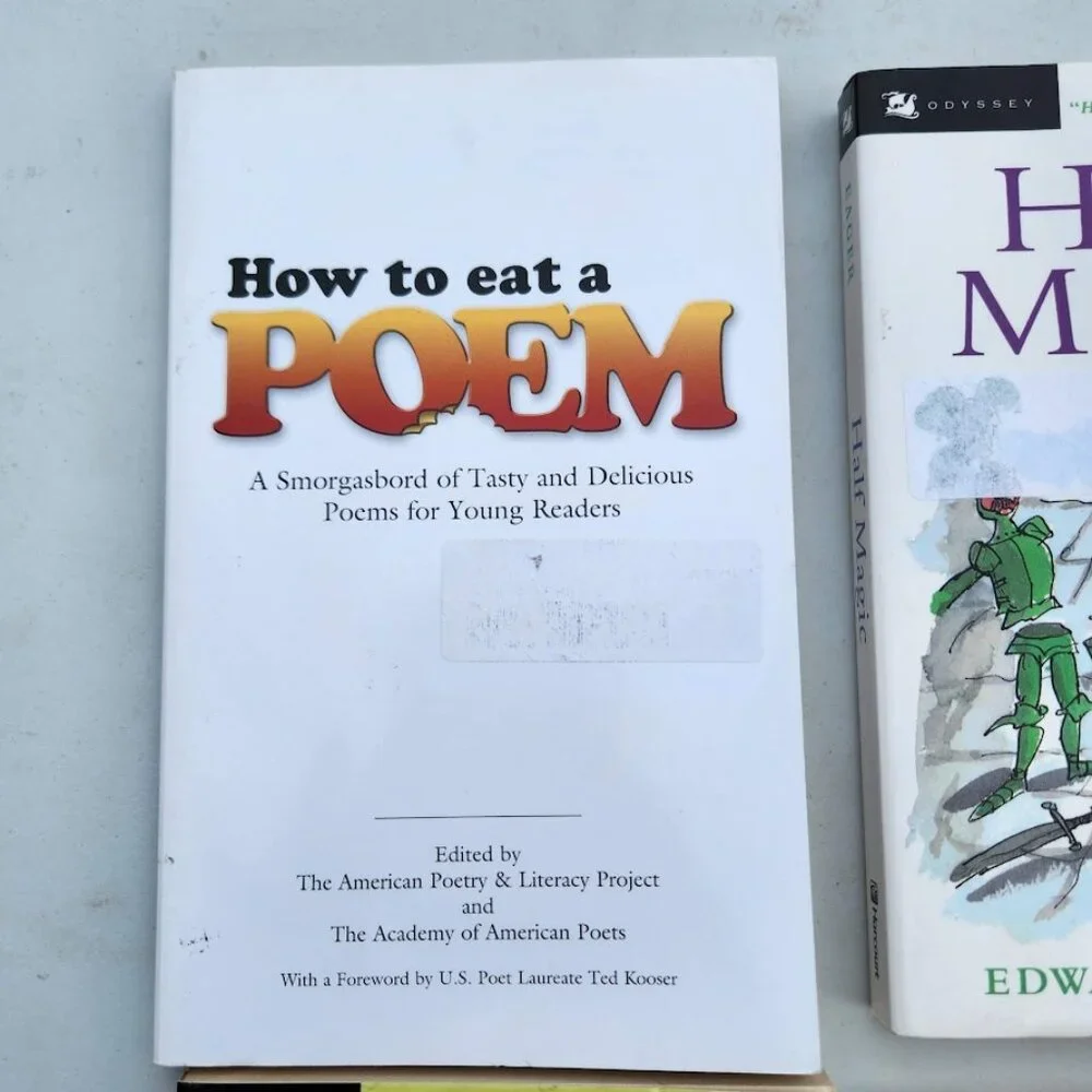 4 books book bundle Lot Set Chapter Books Young Adult Poem Literature Novels